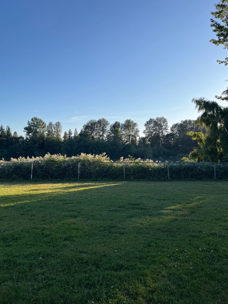 walking near me in North Lions Park in summer