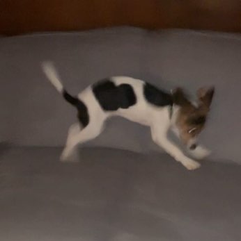 Alexander  R. 🇮🇪🇵🇱