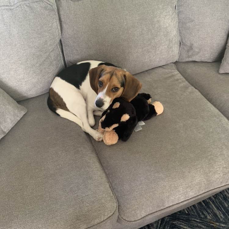 Alexander  R. 🇮🇪🇵🇱 post 2