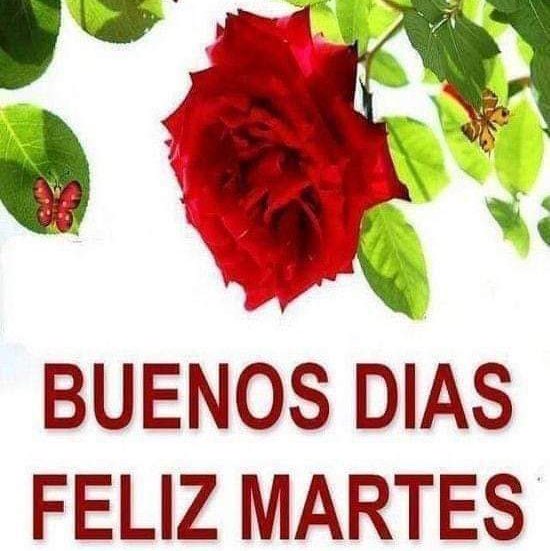 Rosy 🇪🇸 post 2