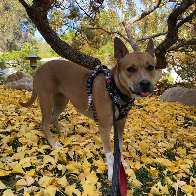 Hilda Karadsheh post 2