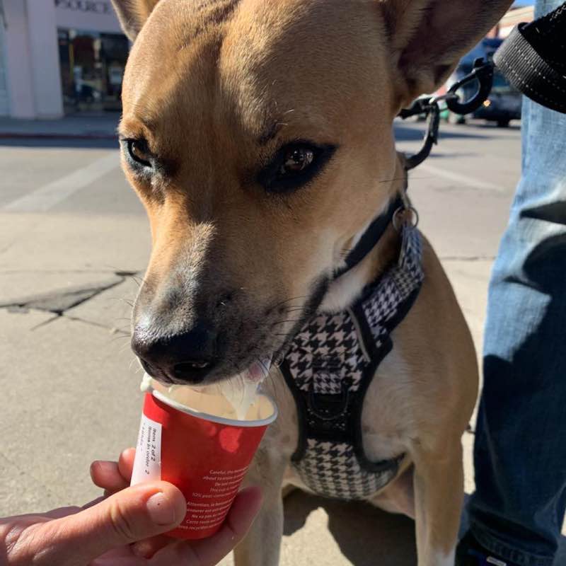 Hilda Karadsheh post 1