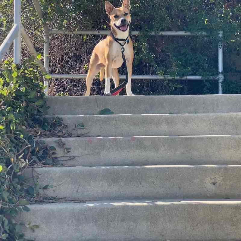 Hilda Karadsheh post 3