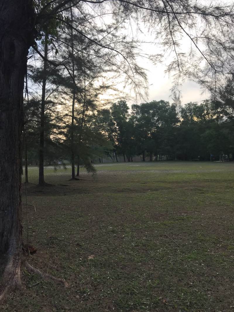 walking near me in Taman Wawasan in winter
