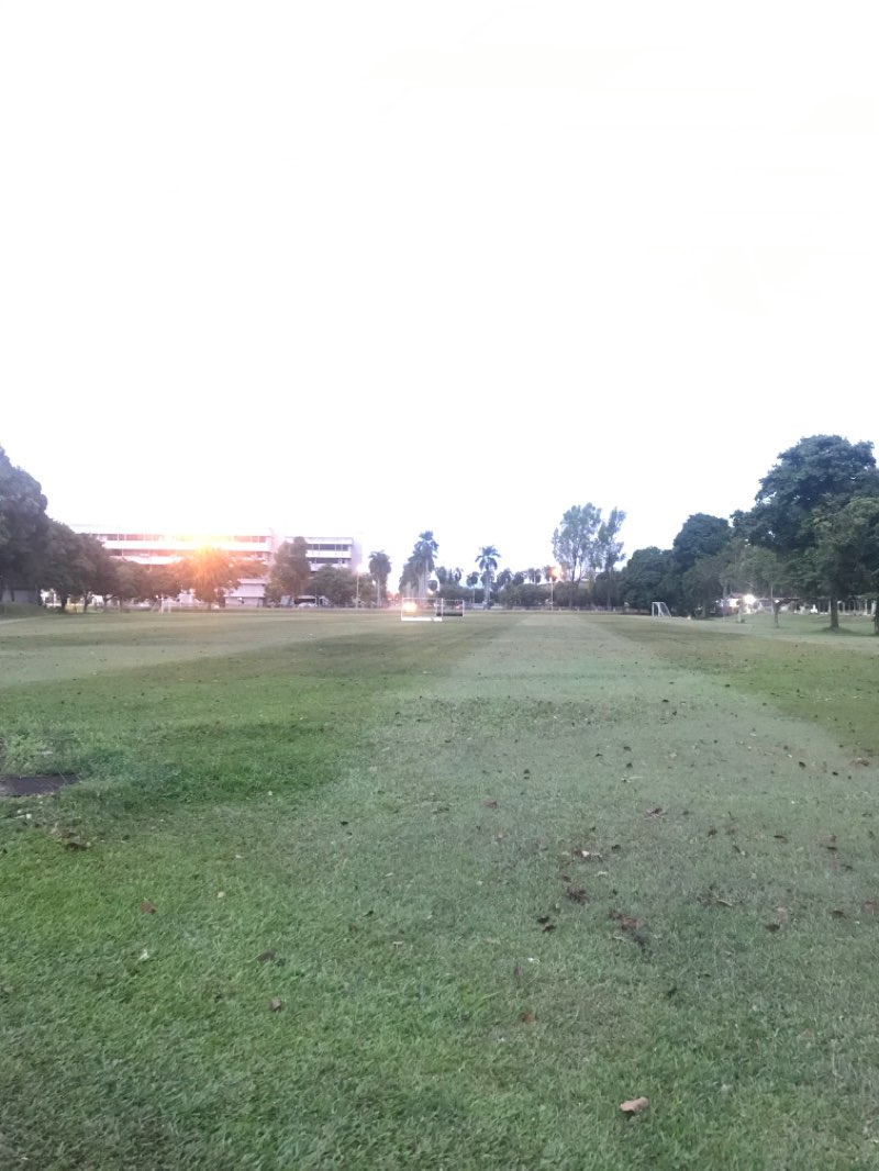 walking near me in Enviroment Conservation Park in winter