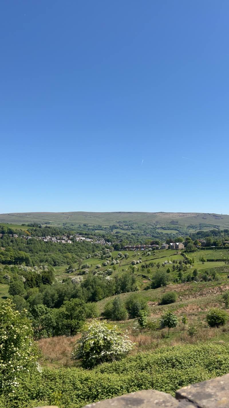 walking near me in Waterhead Park in spring