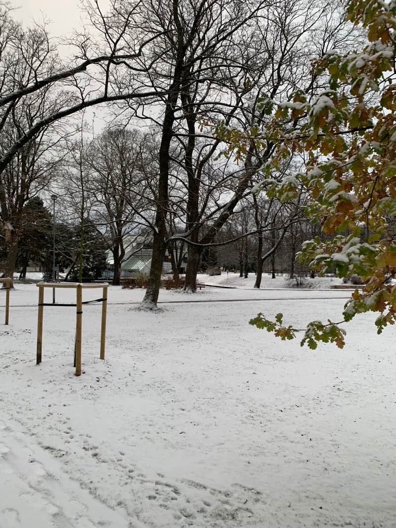 walking near me in Kronvalda parks in autumn