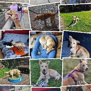 Tina, glücklich verheiratet bitte keine❗❗ privaten Anfragen❗❗❗ profile