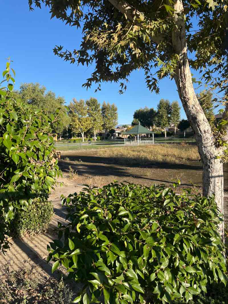 walking near me in Parkside Village in autumn