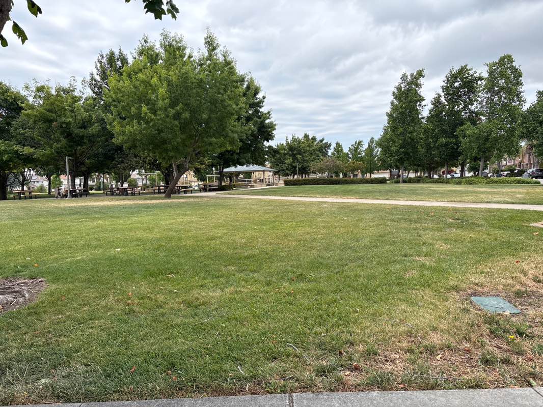 walking near me in Marlow Brothers Park in summer