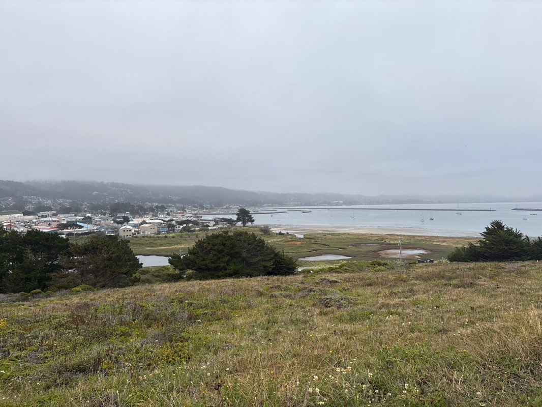 walking near me in James V. Fitzgerald Marine Reserve in summer