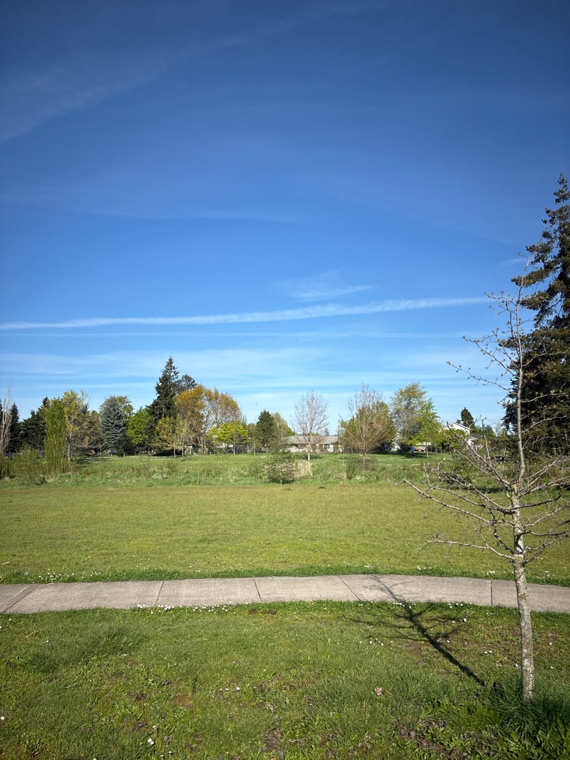 walking near me in McKay School Park in spring