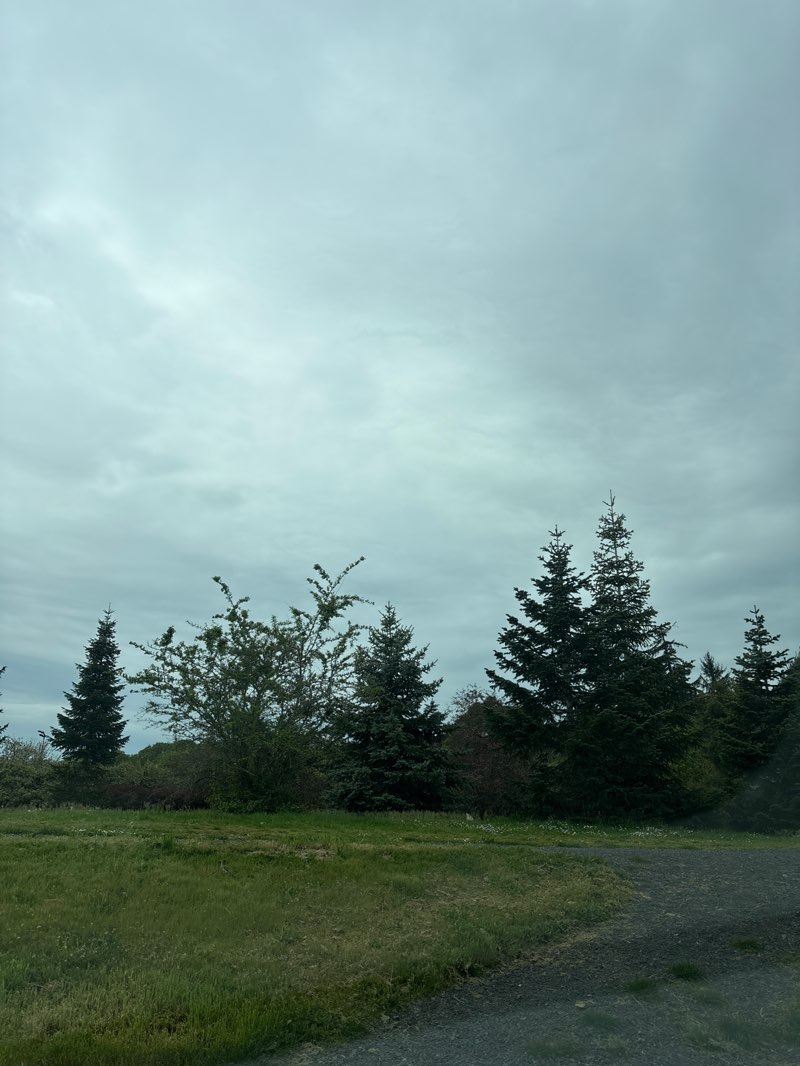 walking near me in Bush's Pasture Park in spring