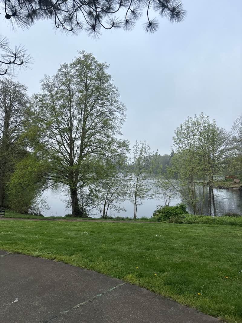 walking near me in Waverly Lake Park in spring