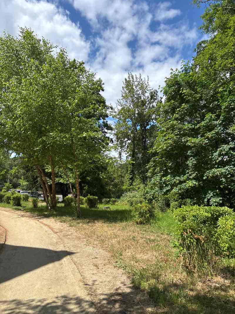 walking near me in Pringle Park in summer