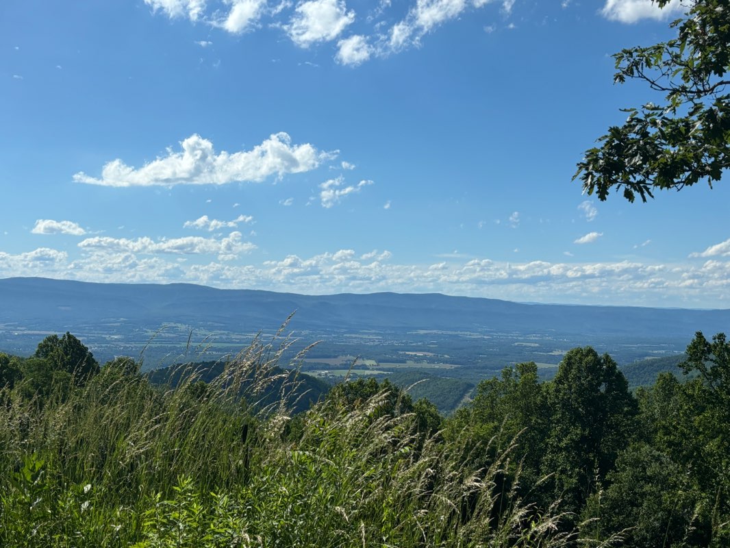 walking near me in The Field in winter