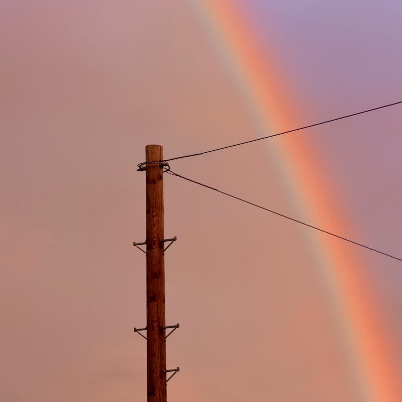 Rach🏴󠁧󠁢󠁳󠁣󠁴󠁿🏴󠁧󠁢󠁳󠁣󠁴󠁿 profile