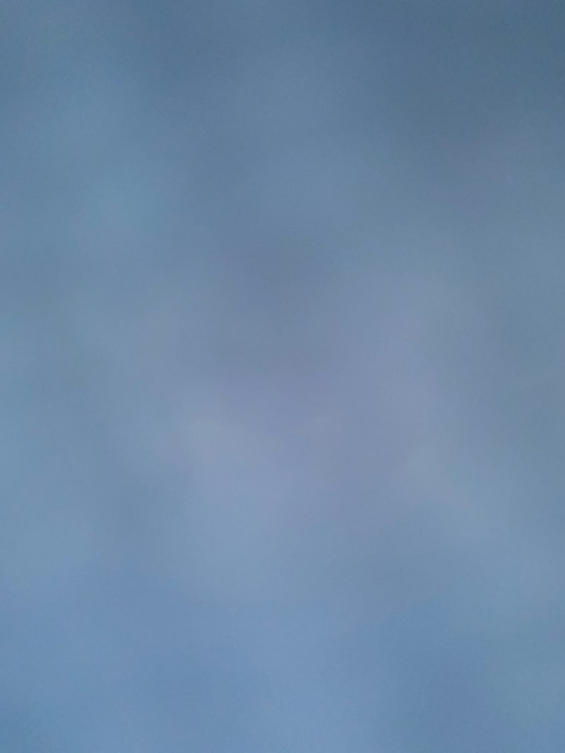 walking near me in Lions Park in winter