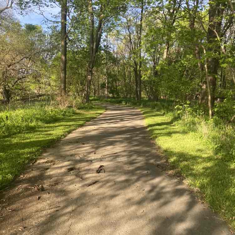 Queen Nana 🌻Family is Life ❣️keep it moving post 3