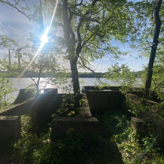 Queen Nana 🌻Family is Life ❣️keep it moving post 2