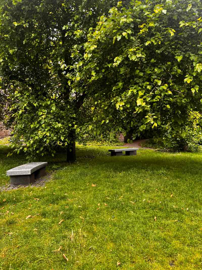 walking near me in Roman Gardens in winter