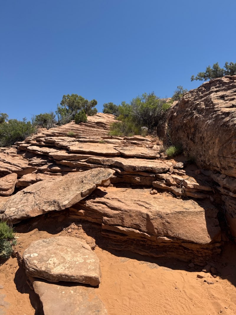 walking near me in Arches National Park in spring