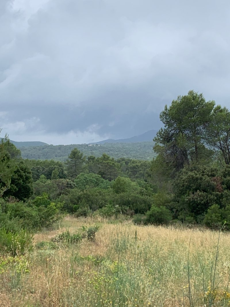 walking near me in Parc Claude Leenhardt in winter