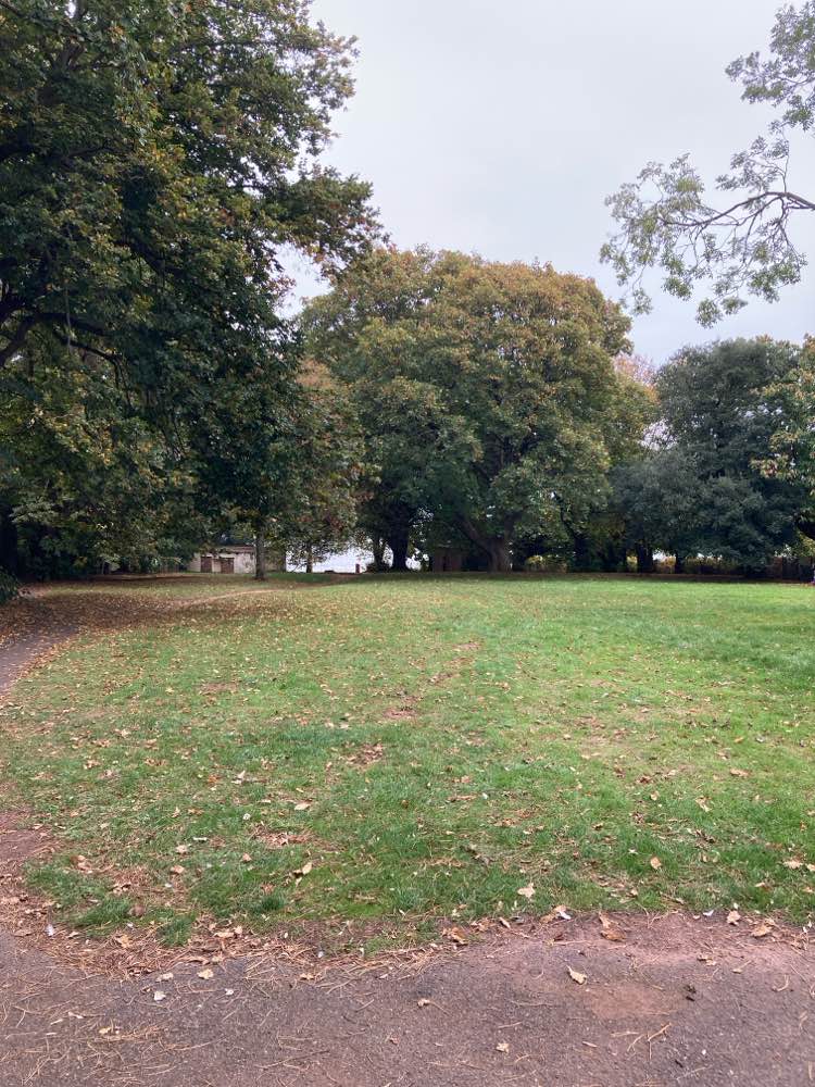 walking near me in Lea Mount in autumn