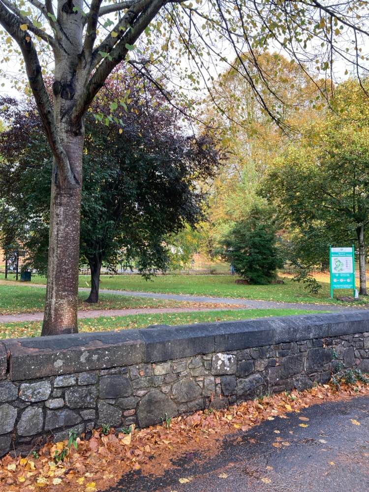 walking near me in Belmont Park in autumn