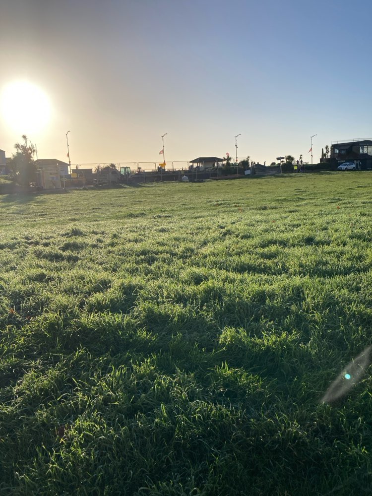 walking near me in The Den in autumn