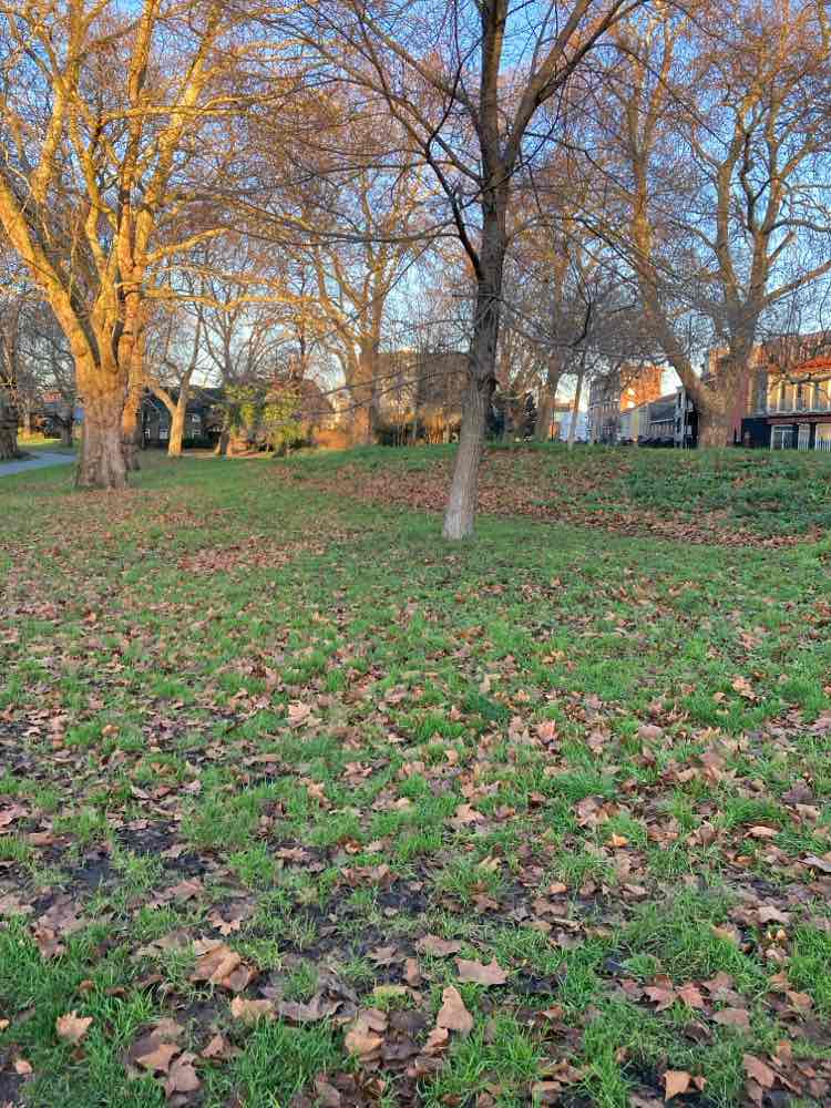 walking near me in Southwark Park in winter