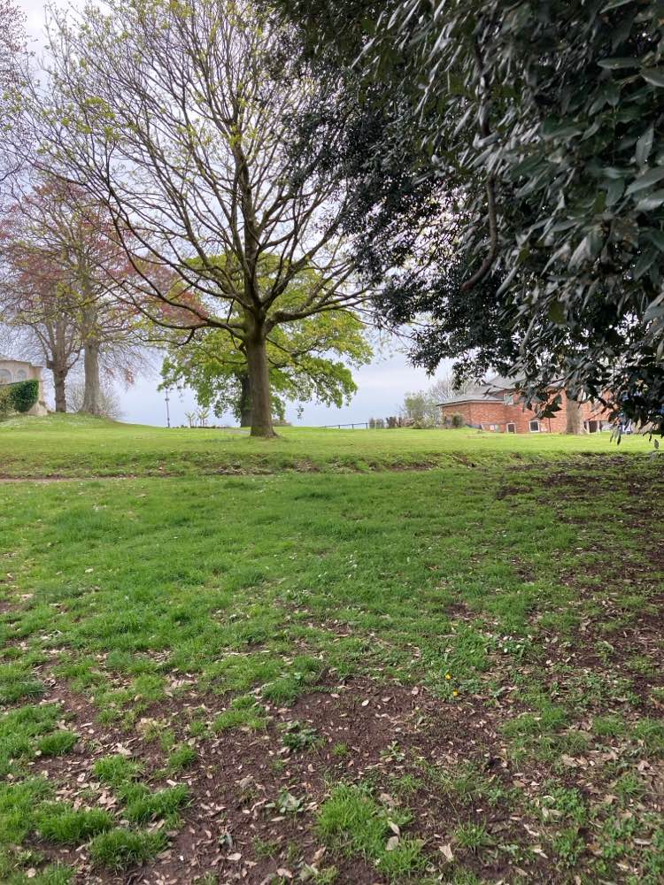 walking near me in Bitton Park in spring