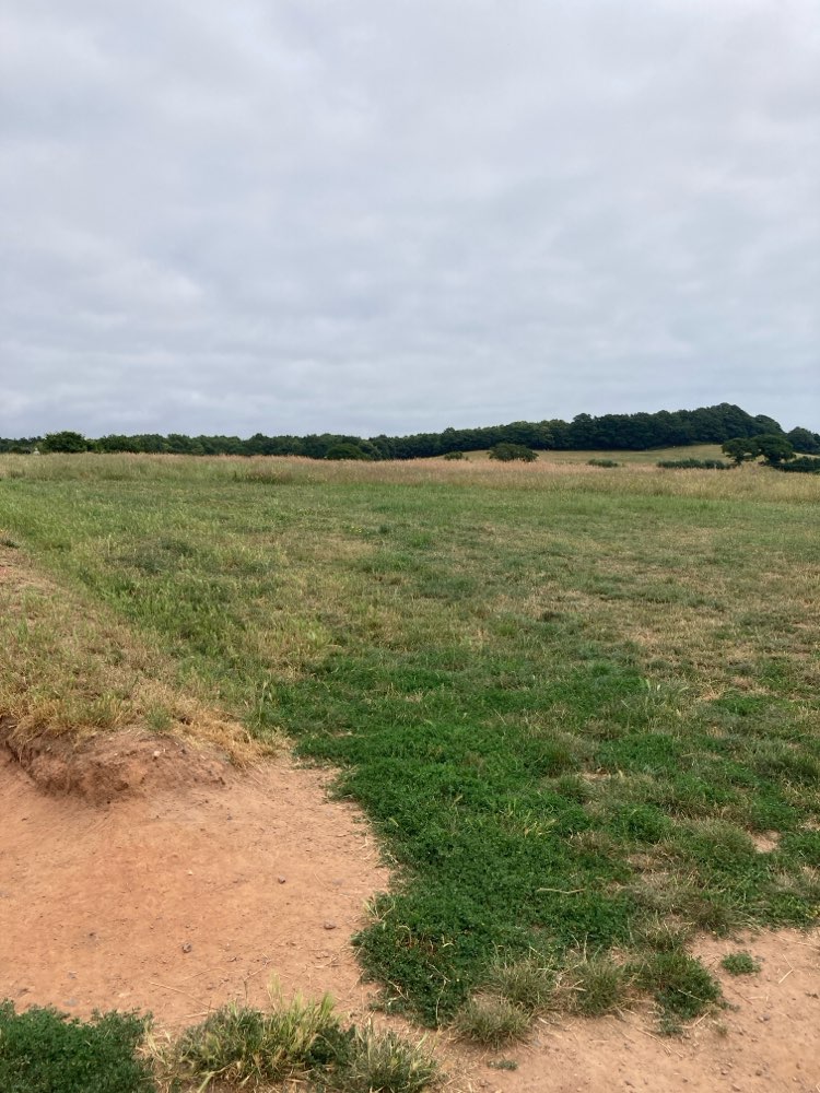 walking near me in Dawlish Countryside Park in summer