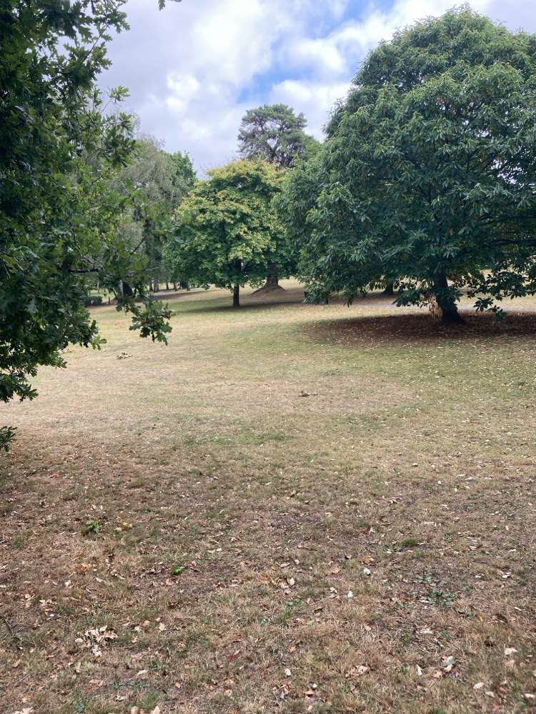 walking near me in Forde Park in autumn