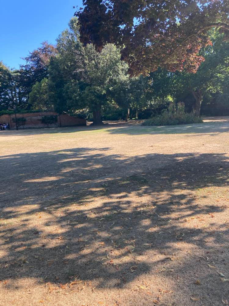 walking near me in Blackmore Gardens in autumn