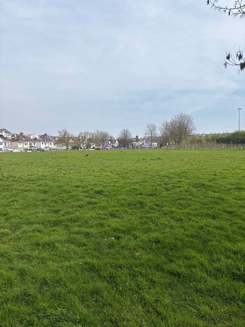 walking near me in King George’s Field in spring