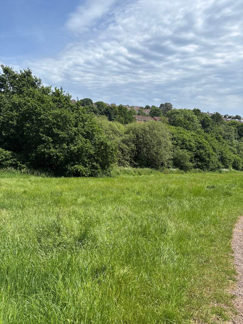 walking near me in Coombe Valley nature reserve in summer