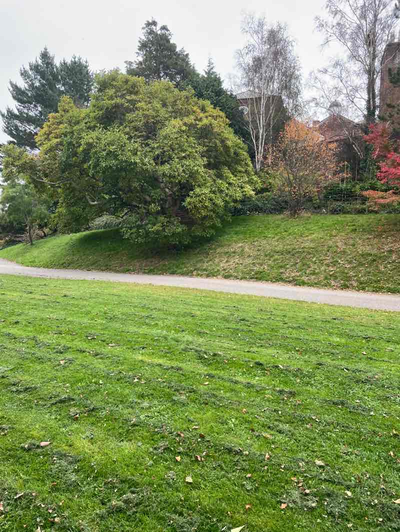 walking near me in Northernhay Gardens in autumn