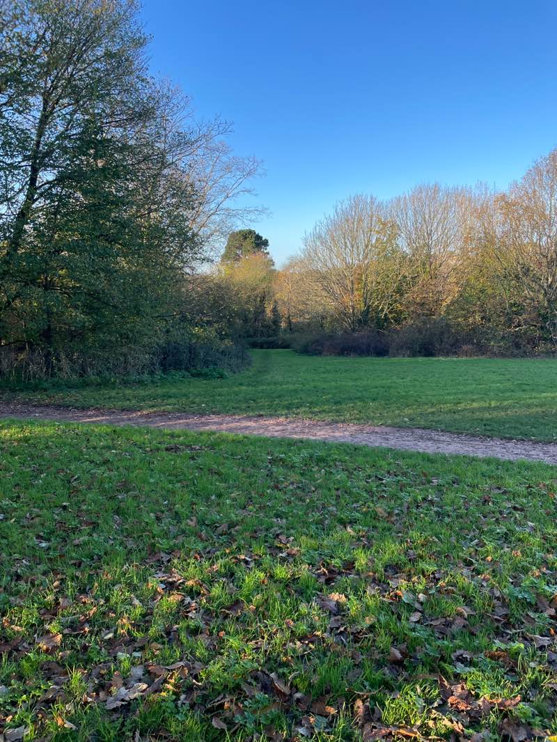 walking near me in Mules Park in autumn