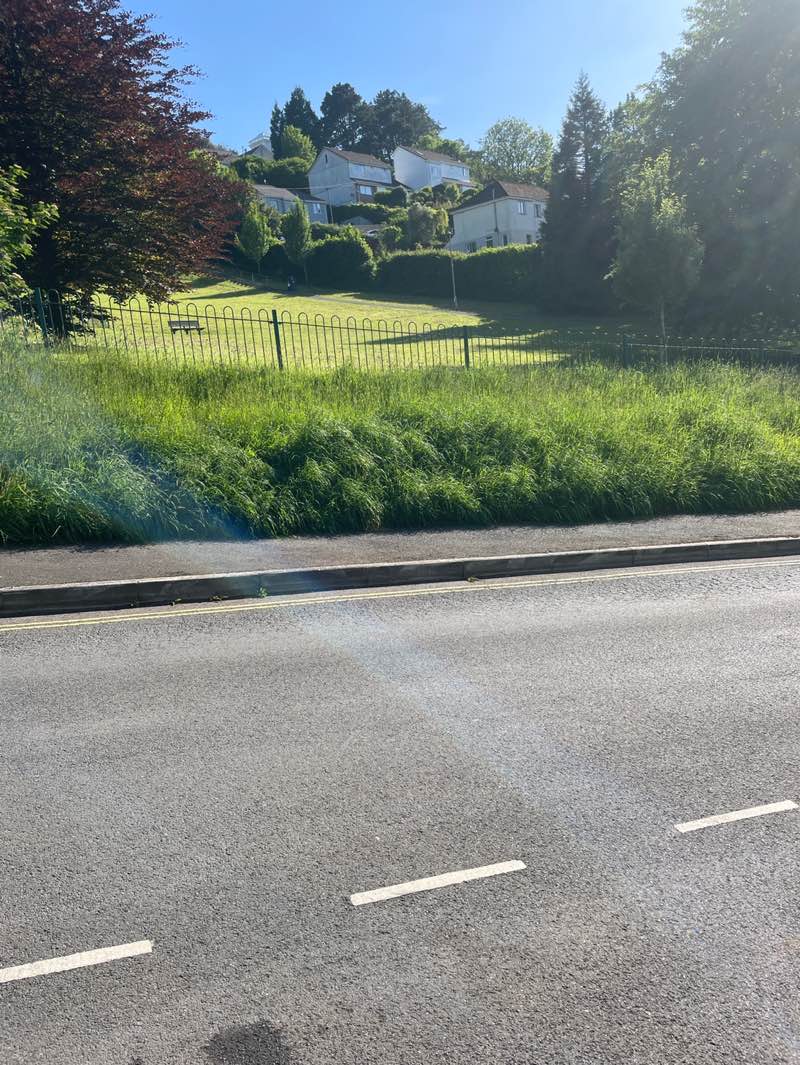 walking near me in Powderham Park in spring