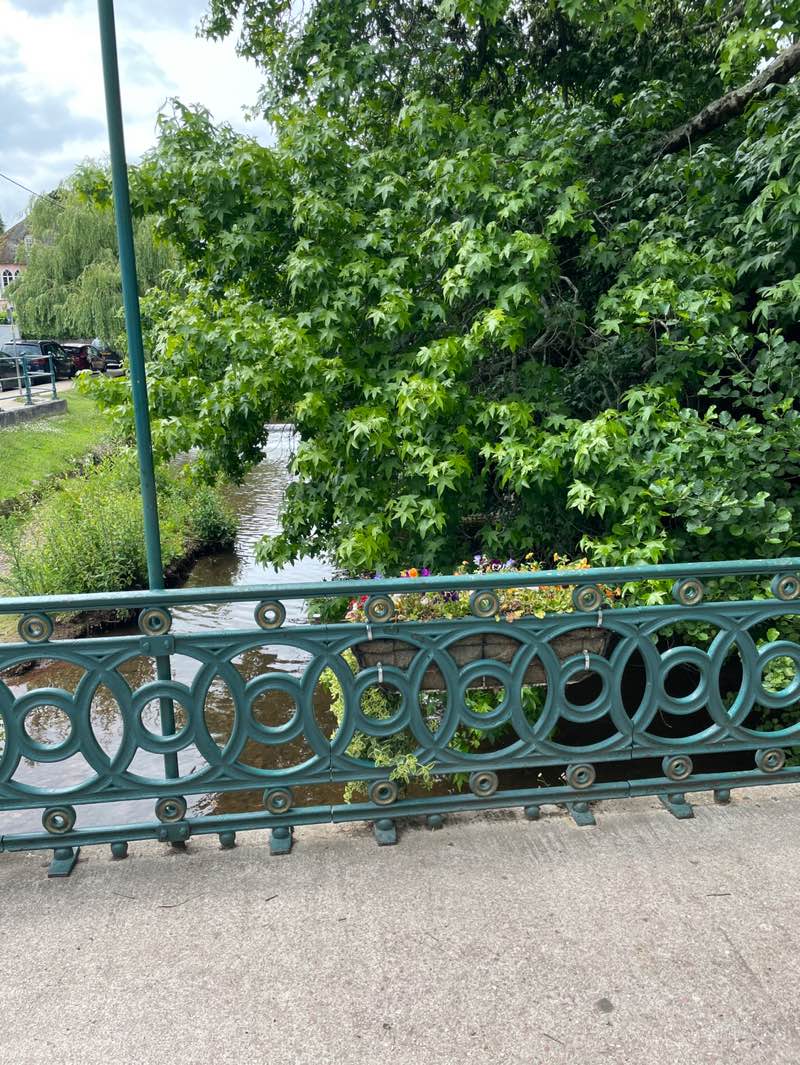 walking near me in The Lawn in summer