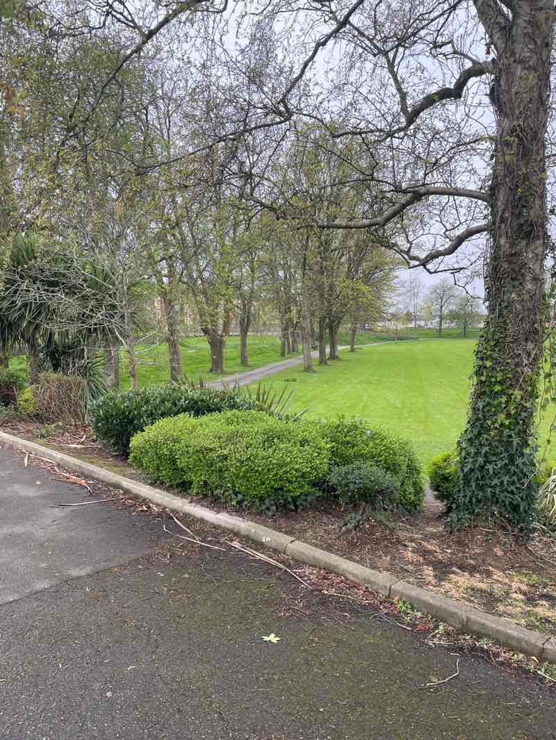 walking near me in Pilton Park in spring