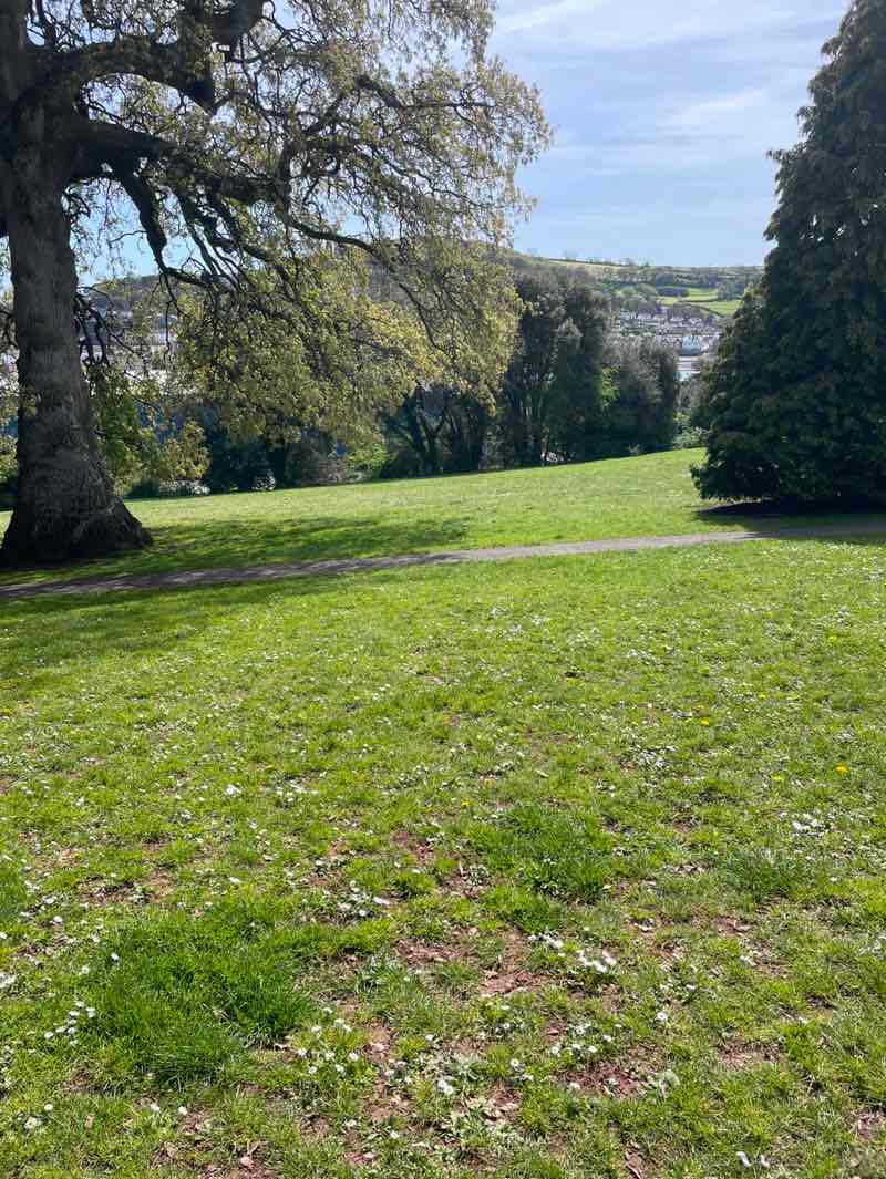 walking near me in Bitton Park in spring