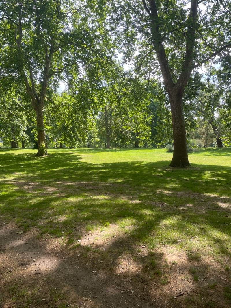 walking near me in The Green Park in summer
