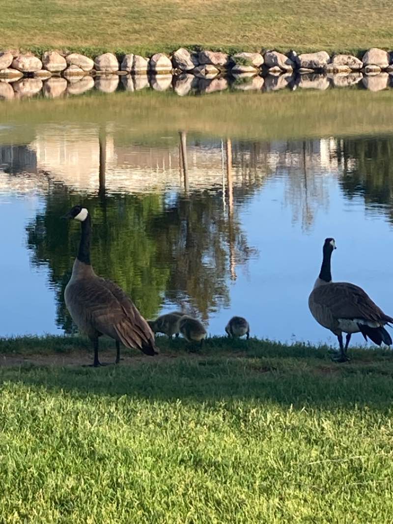 walking near me in Butterfield Park in winter