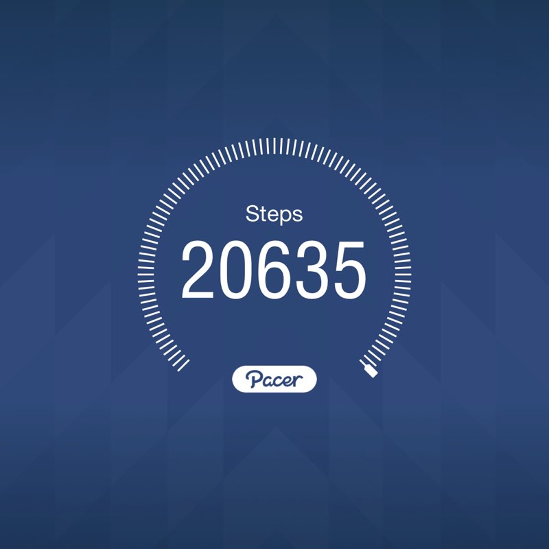 Zabou 🇫🇷 🇬🇧 🚴 🚶‍♀️💐 🐈‍⬛ 💖 post 1