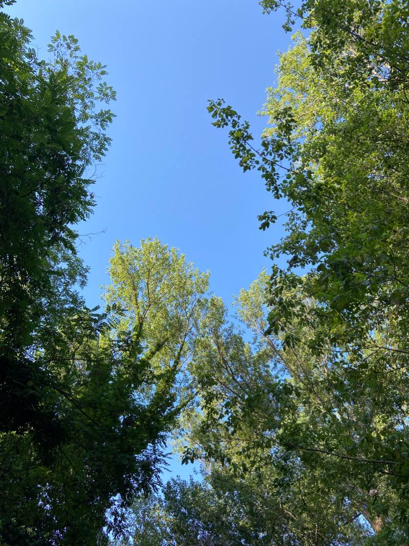 walking near me in Giardino dei Giusti in winter