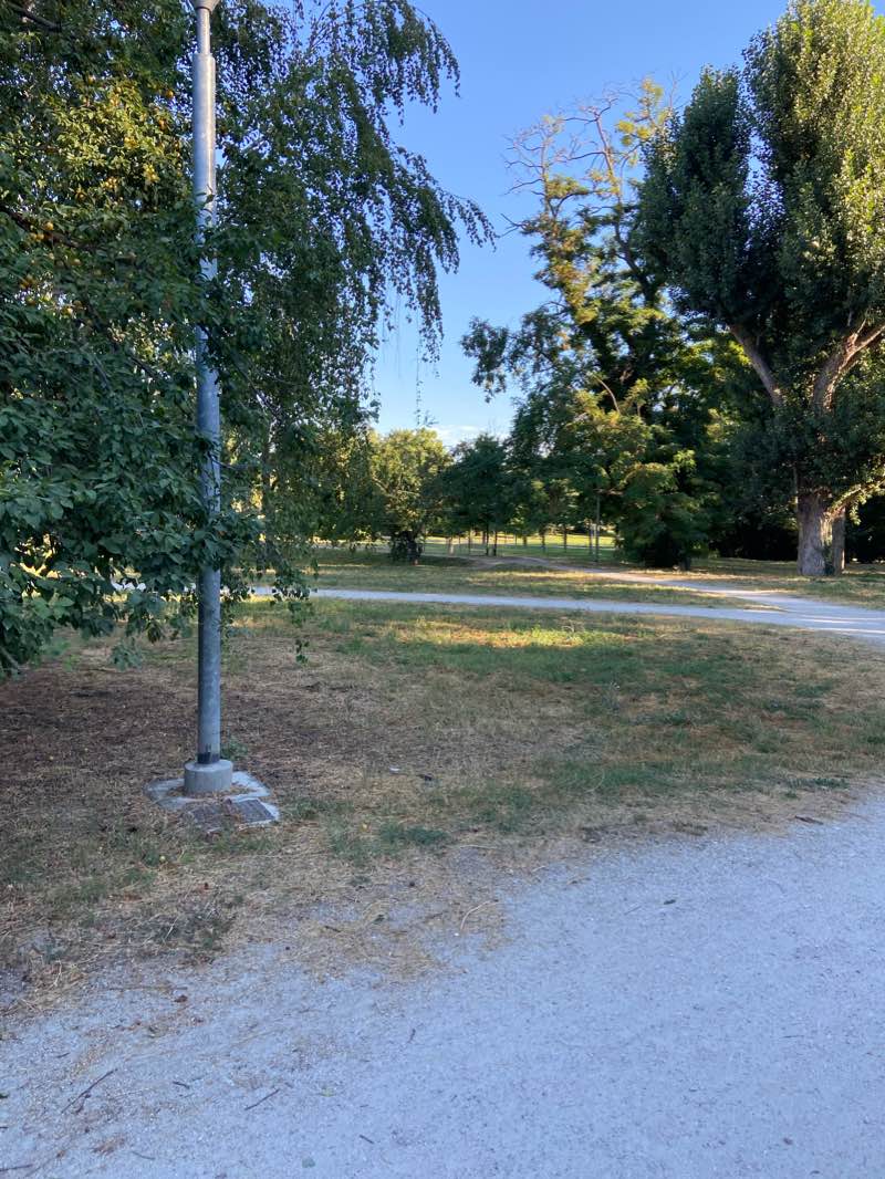 walking near me in Parco Ezio Camuncoli in winter