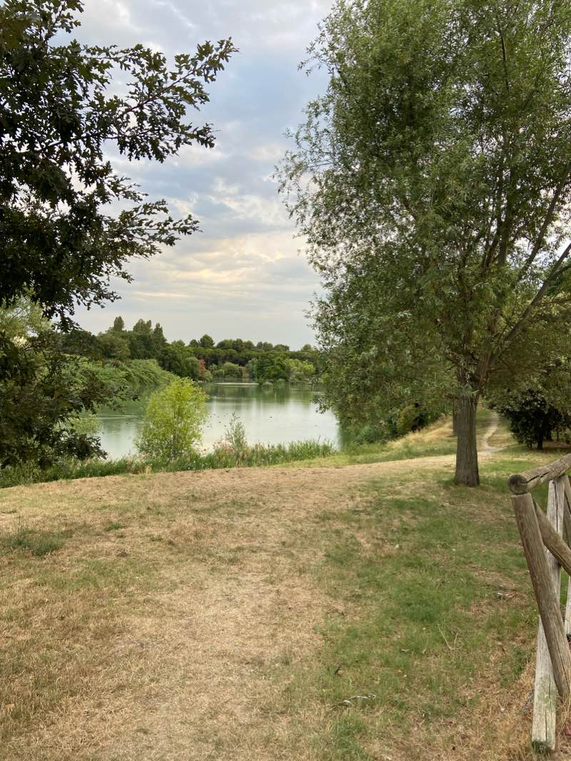 walking near me in Parco Giovanni Paolo II in winter