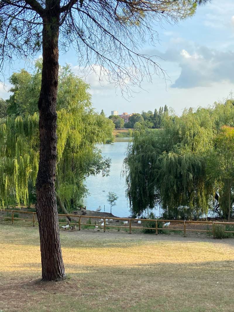 walking near me in Parco Fabbri in winter